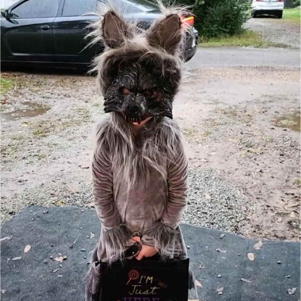 WOLF COSTUME SIZE 5/6 WORN ONE TIME FOR A FEW HOURS . MASK INCLUDED